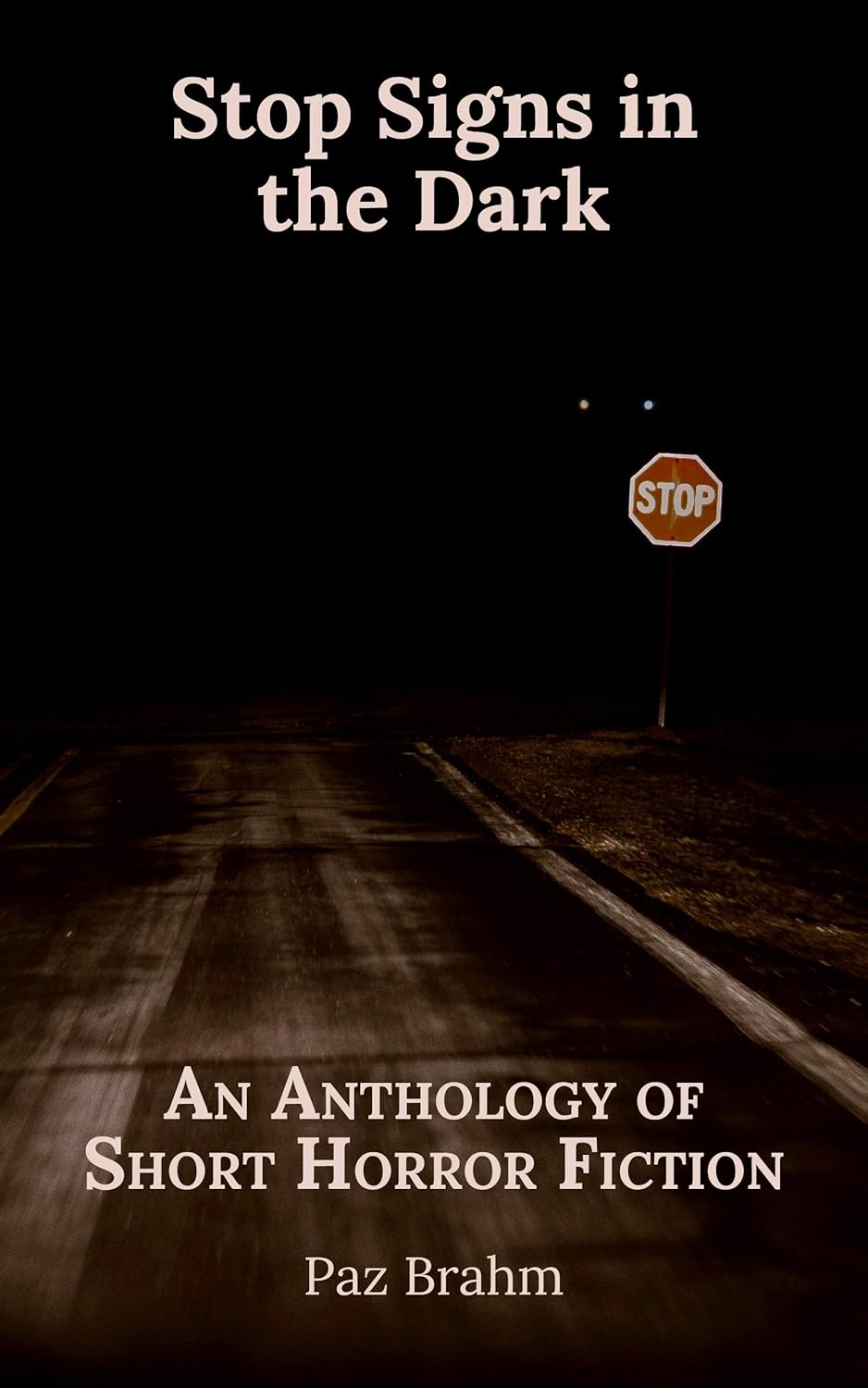 Stop Signs in the Dark: An Anthology of Short Horror Fiction poster