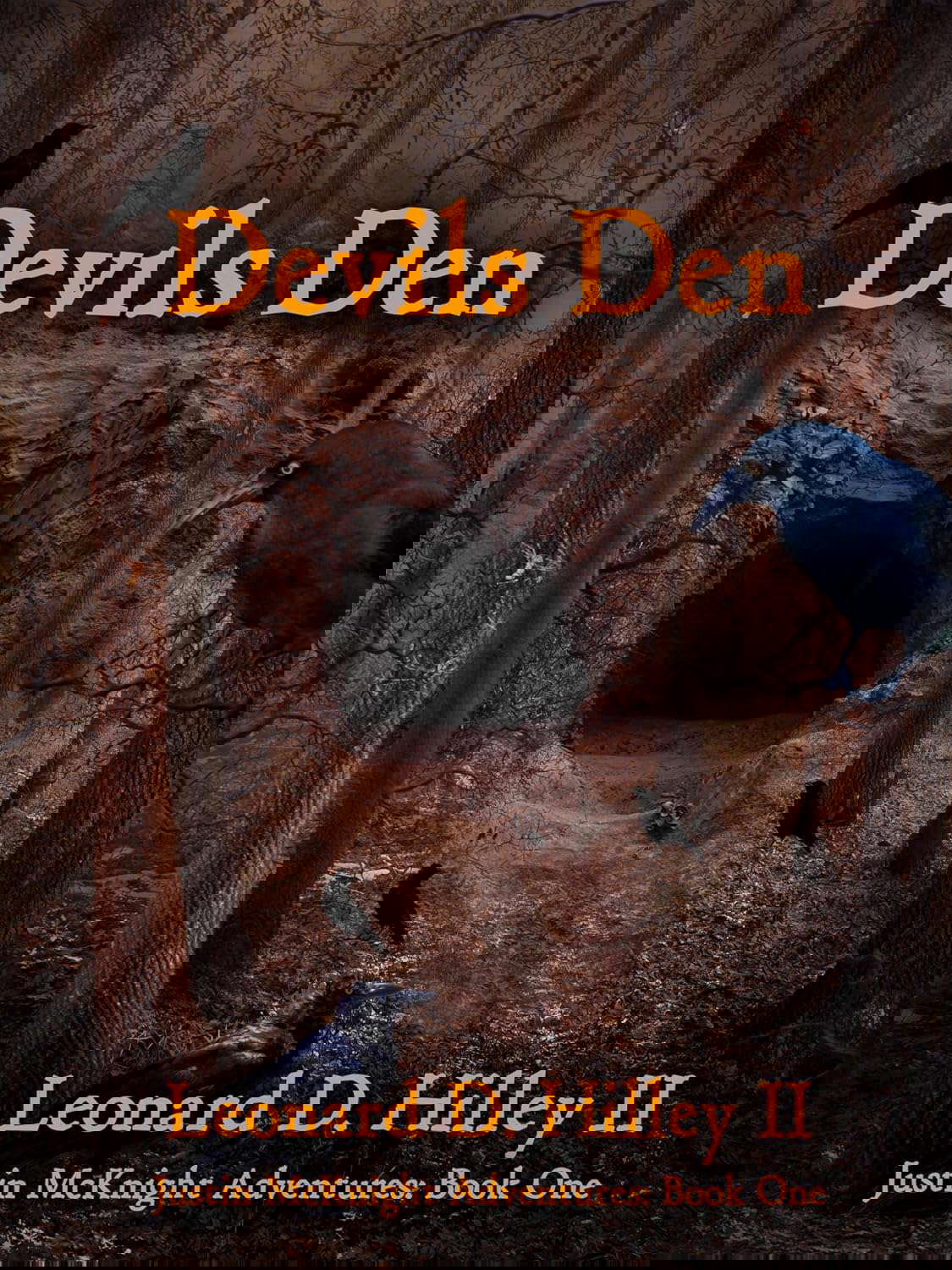 Devils Den poster