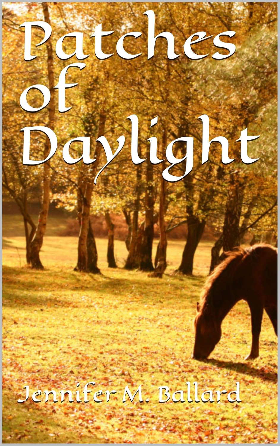 Patches of Daylight poster