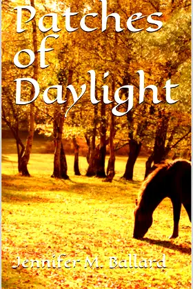 Patches of Daylight poster
