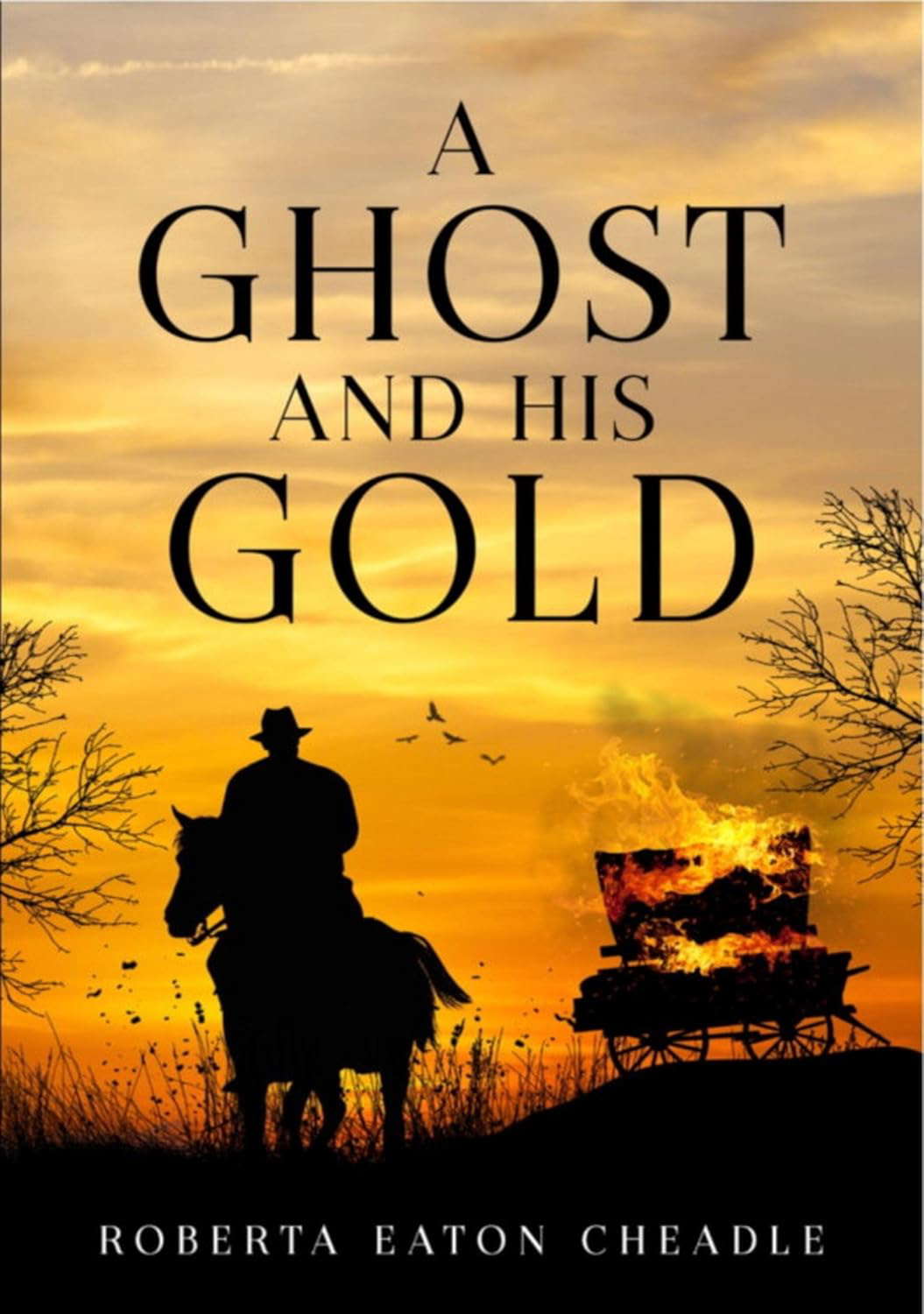 A Ghost and His Gold poster