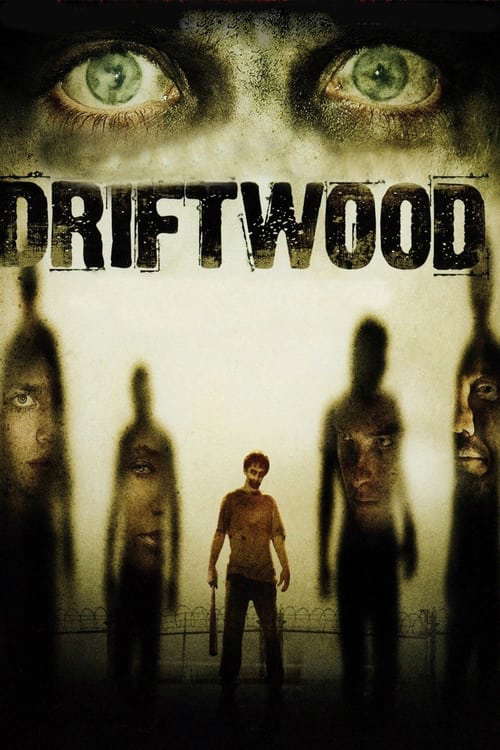 Driftwood poster