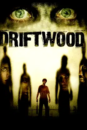 Driftwood poster