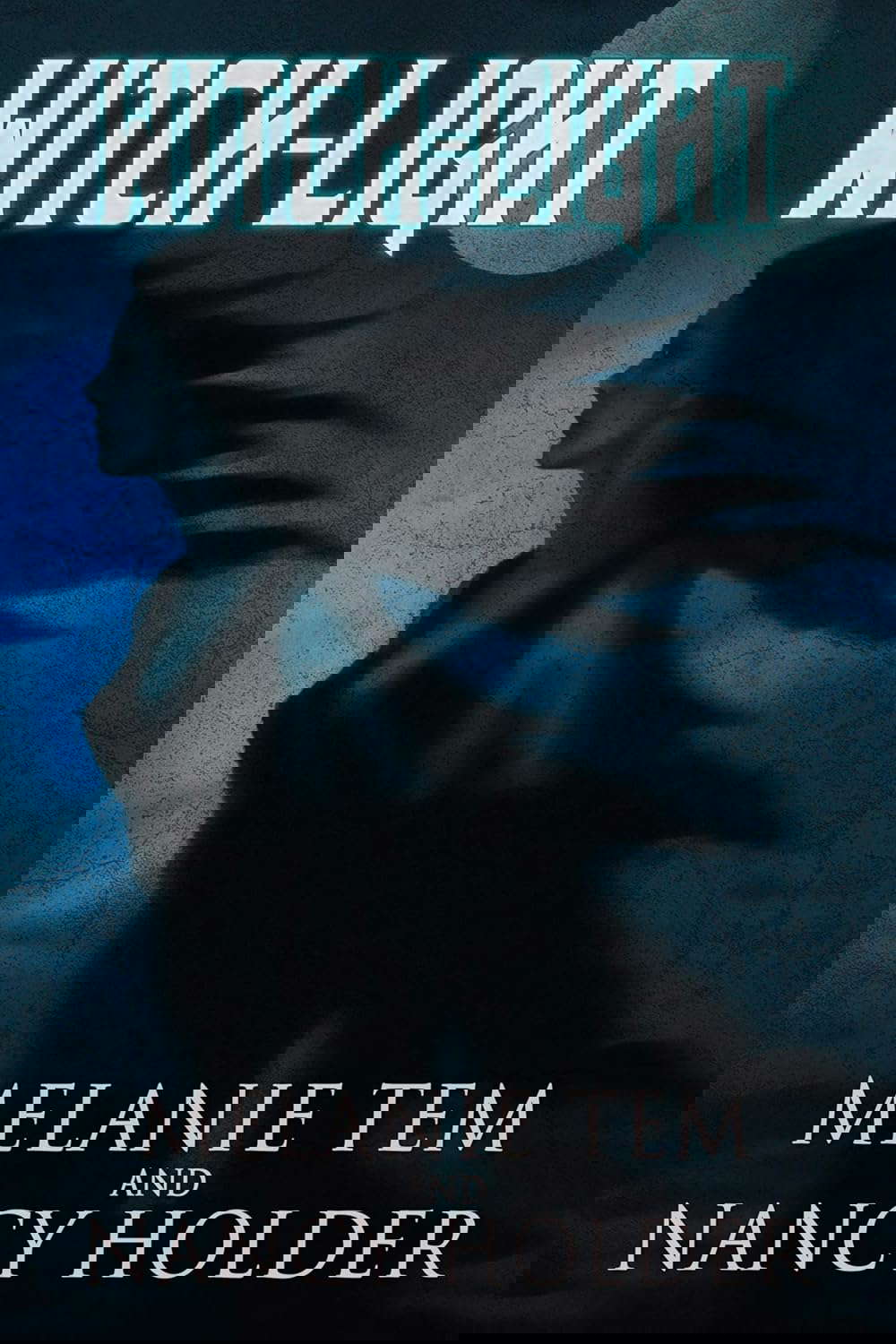 Witch-Light poster