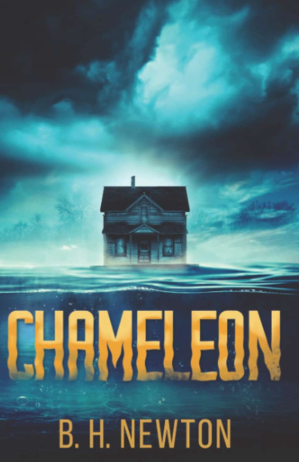 Chameleon poster