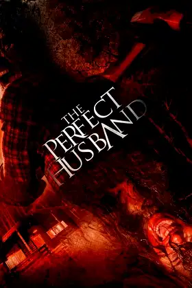 The Perfect Husband poster