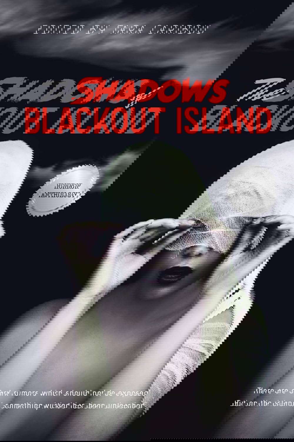 The Shadows of Blackout Island poster