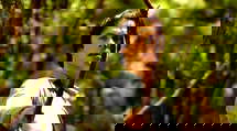 episode poster