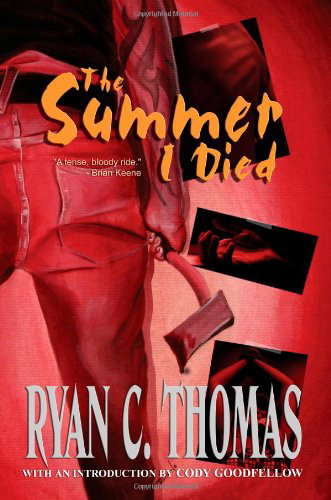 The Summer I Died poster