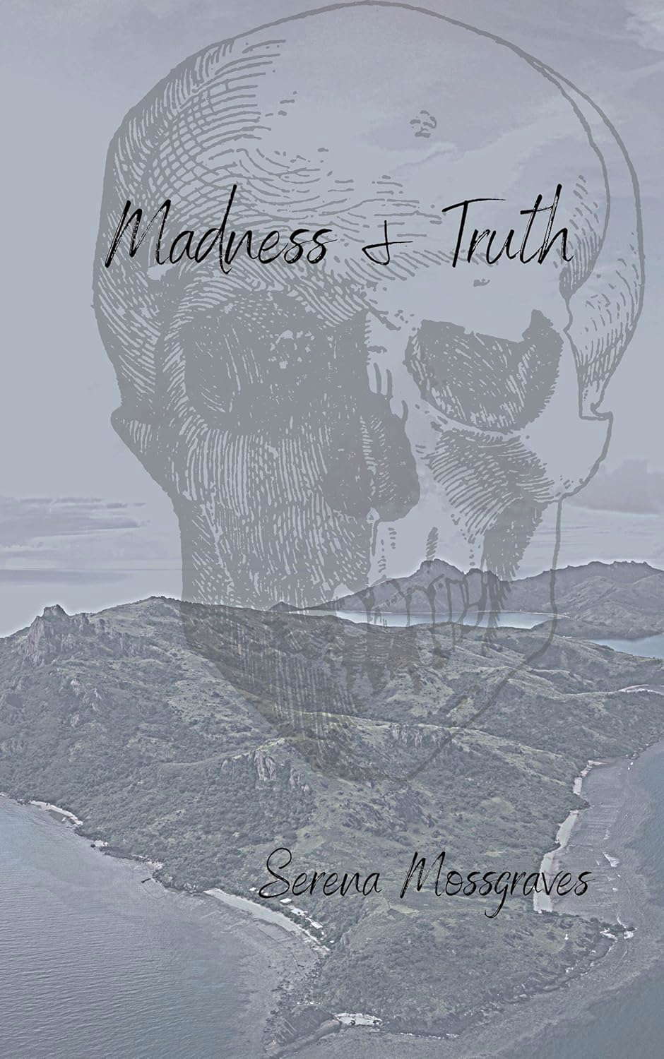 Madness and Truth poster