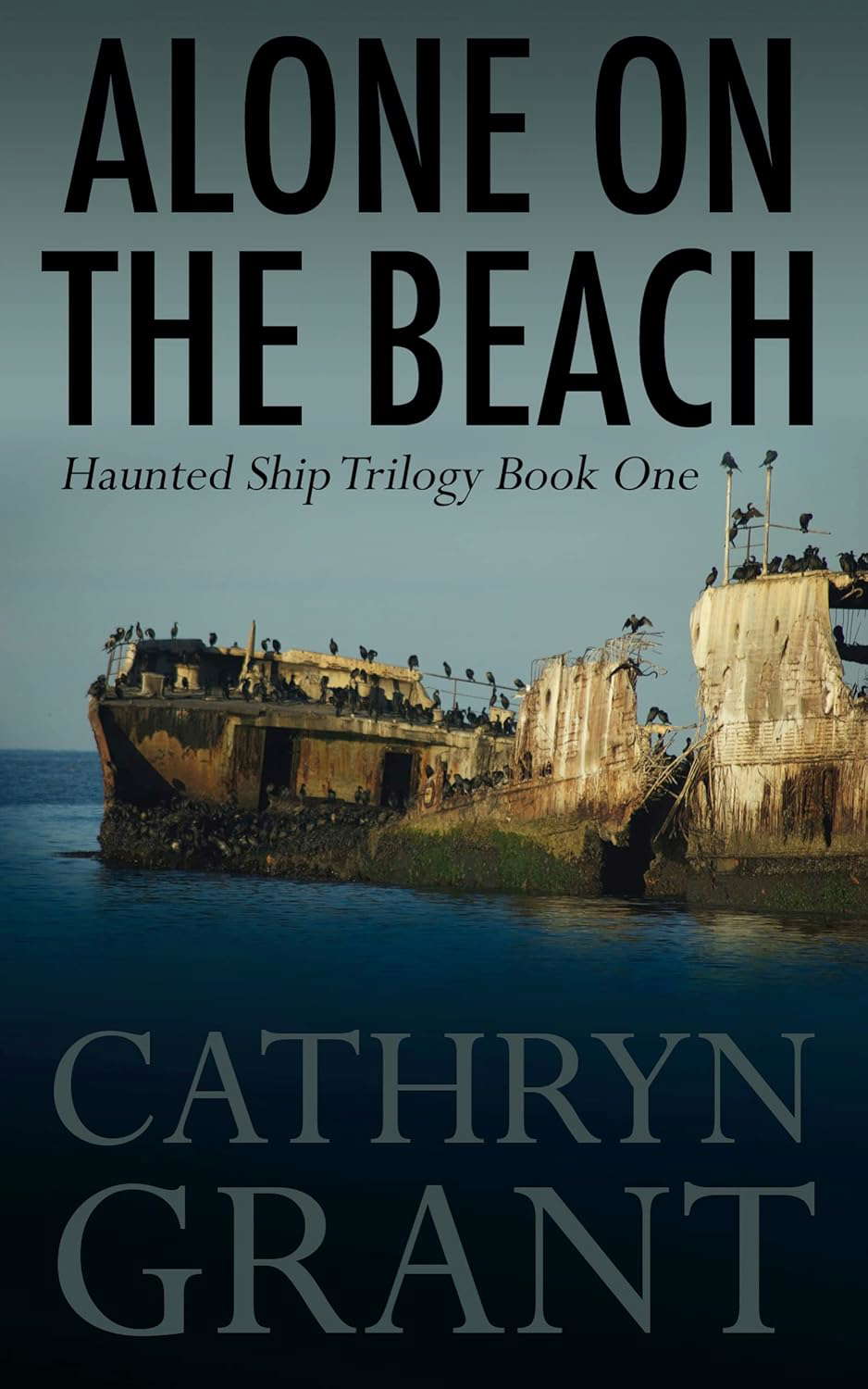 Alone On the Beach: The Haunted Ship Trilogy Book One poster