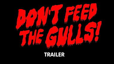 FEED THE GULL Full Trailer poster