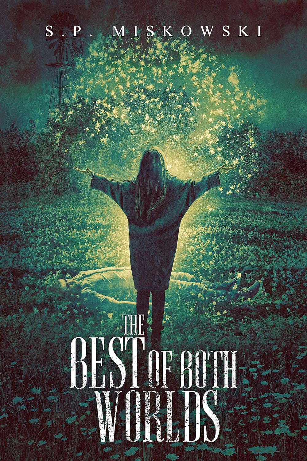 The Best of Both Worlds poster