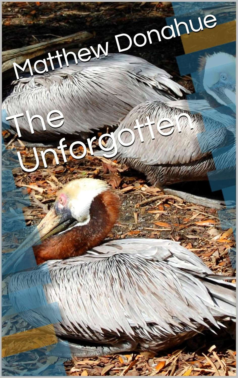 The Unforgotten poster