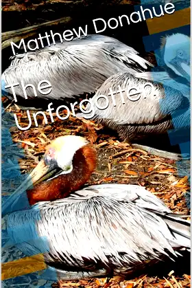 The Unforgotten poster