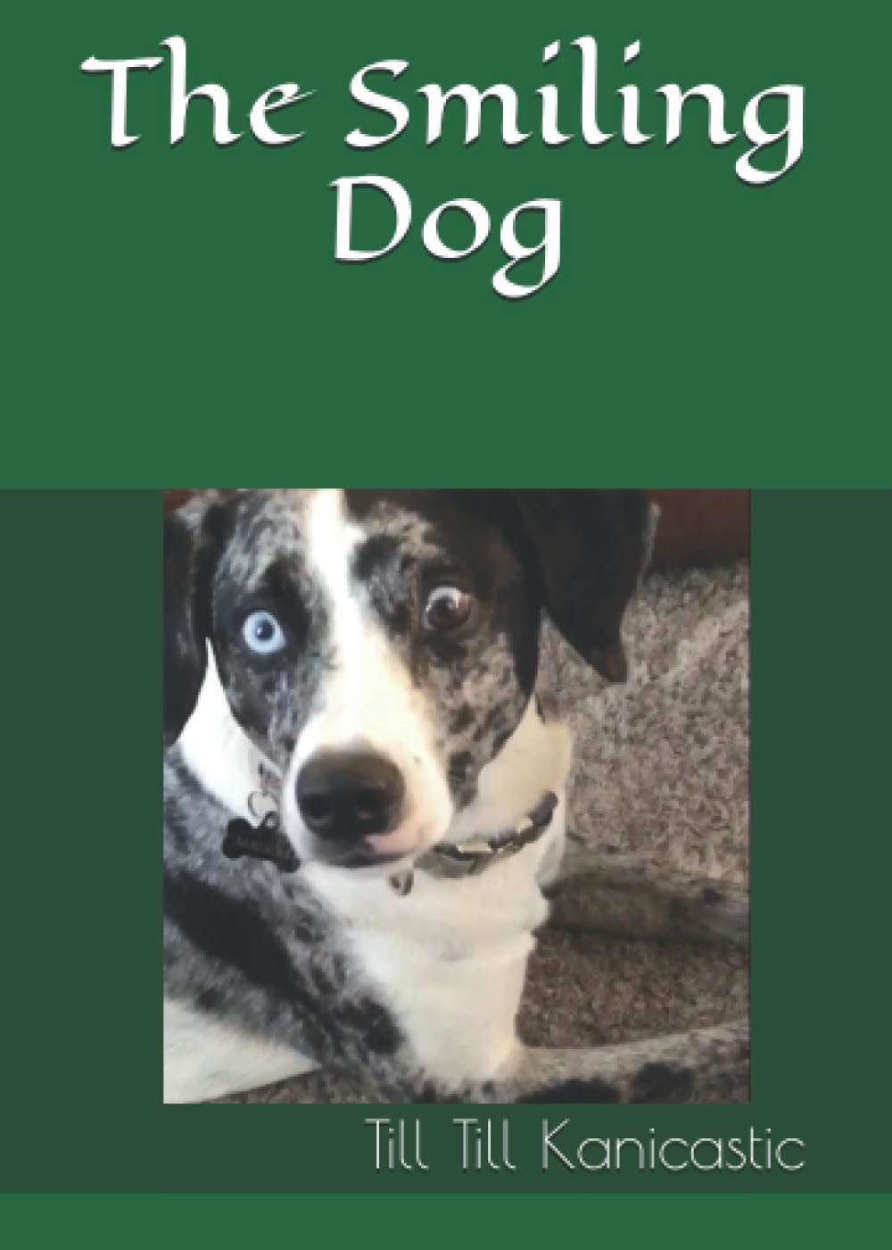 The Smiling Dog poster