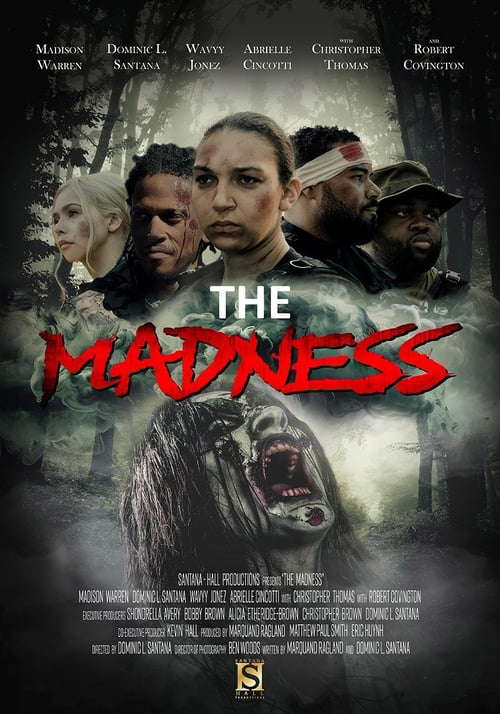 The Madness poster