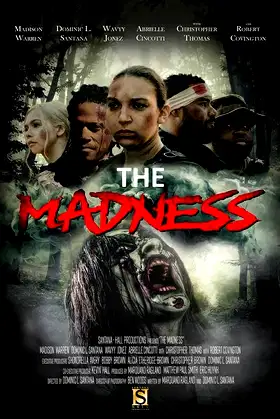 The Madness poster