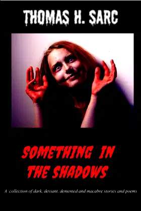 Something In The Shadows poster