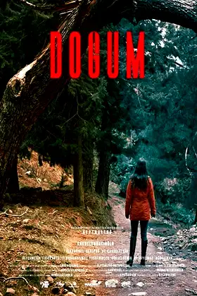 Doğum poster