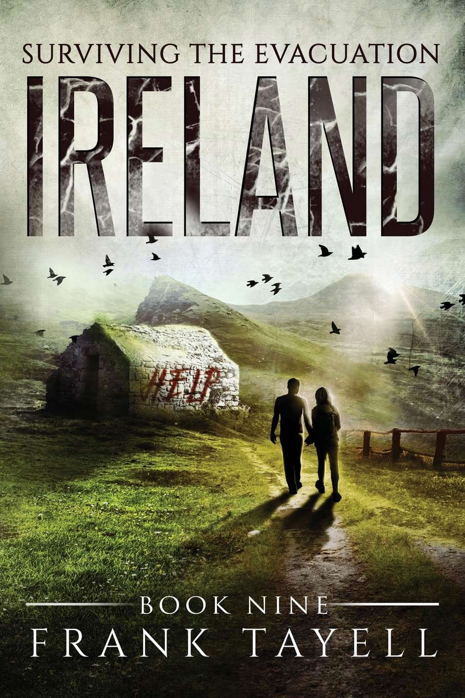 Surviving The Evacuation, Book 9: Ireland poster