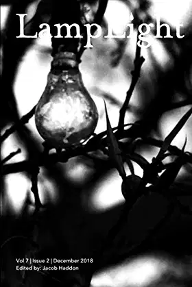 LampLight - Volume 7 Issue 2 poster