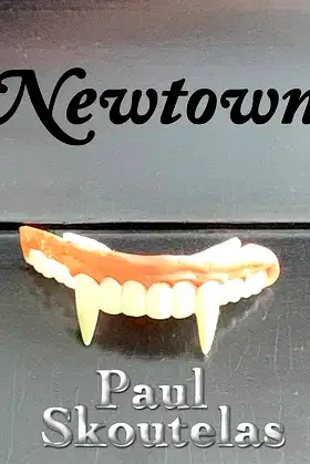 In Newtown poster