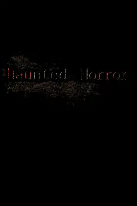 Haunted Horror poster