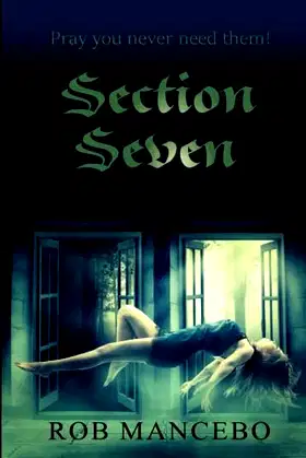 Section Seven poster