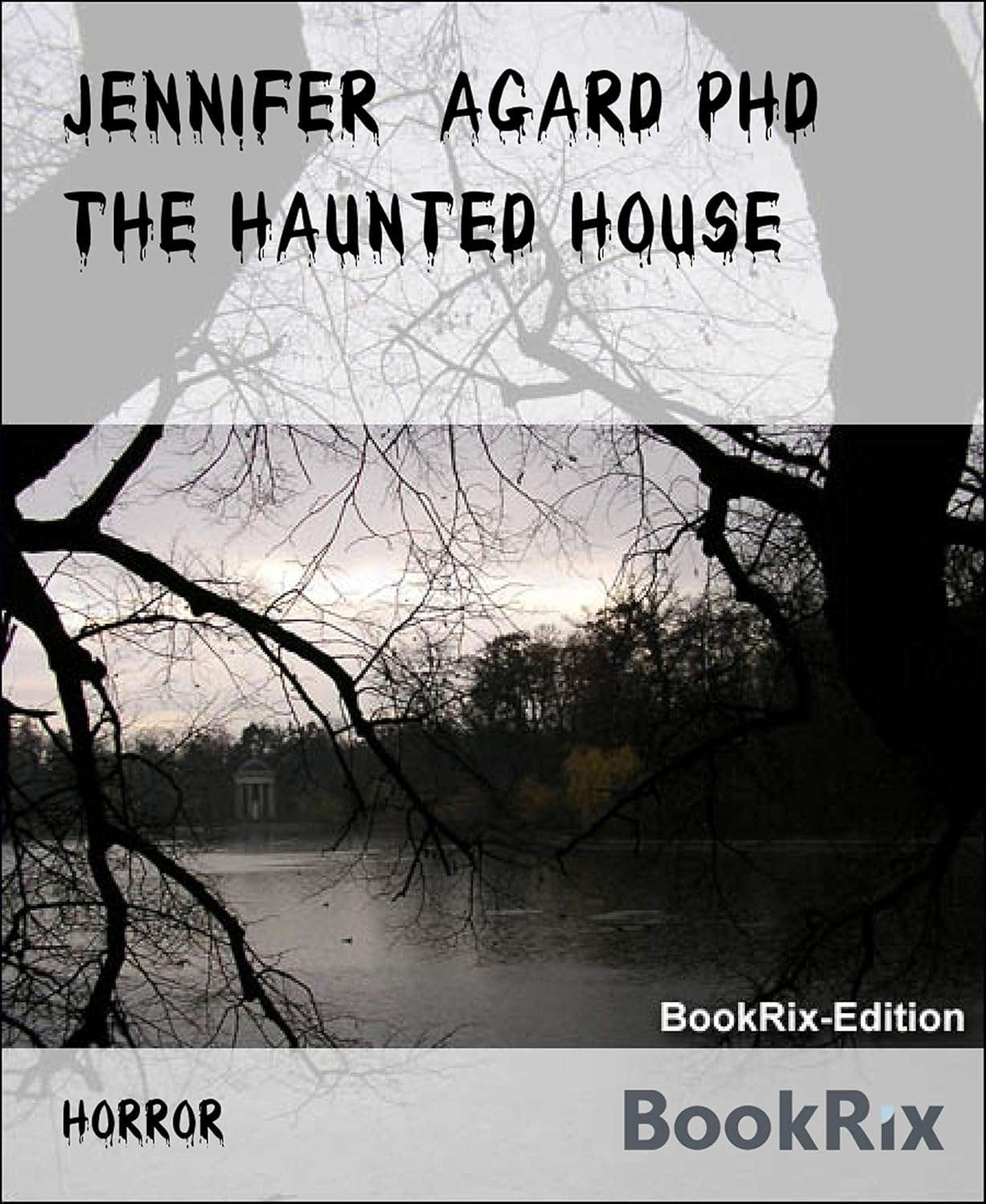 THE HAUNTED HOUSE poster
