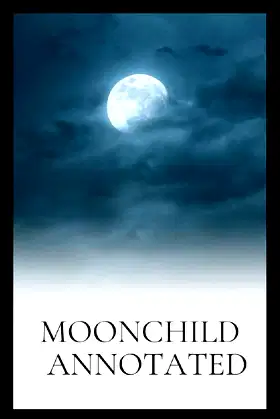 Moonchild Annotated poster