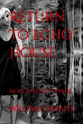 Return To Echo House: More Tales Of Terror poster