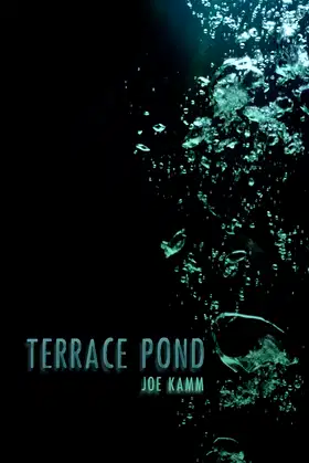 Terrace Pond poster