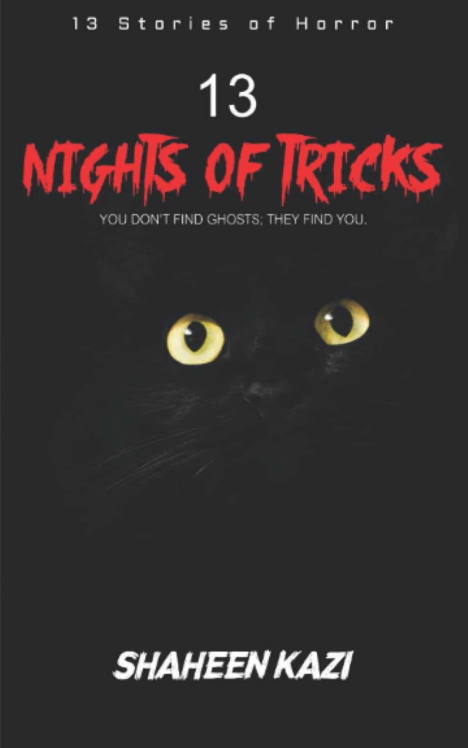 13 Nights of Tricks: You Don't Find Ghosts; They Find You poster