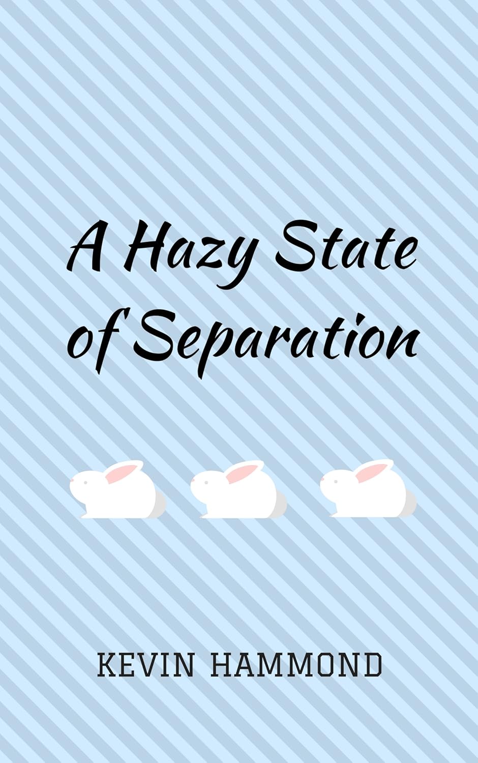 A Hazy State of Separation poster