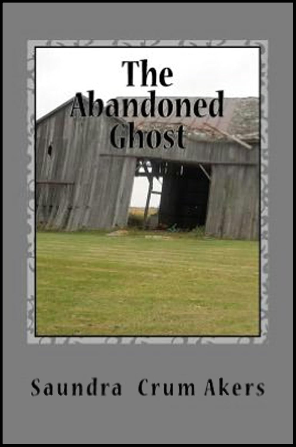 The Abandoned Ghost poster