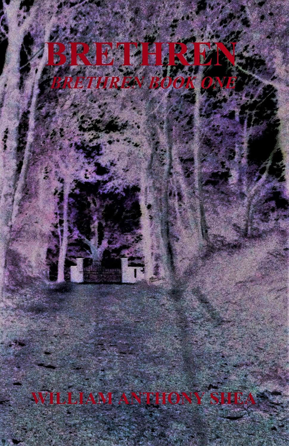 Brethren: Brethren Book One poster