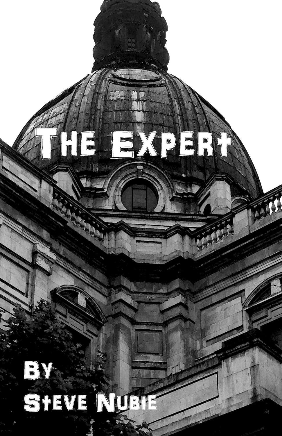 The Expert poster