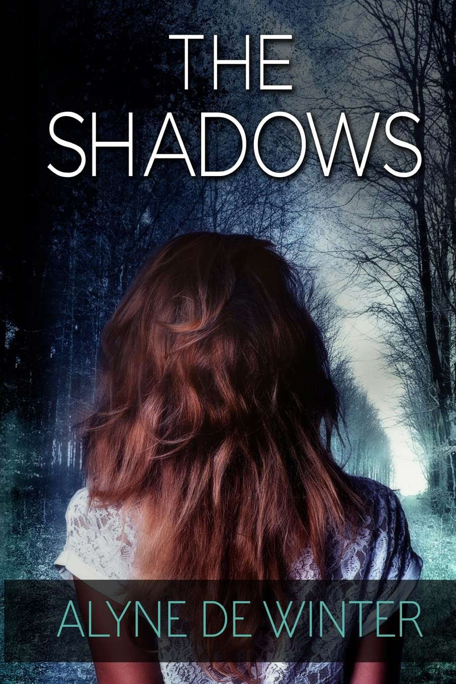 The Shadows: A Poppy Farrell Mystery (Poppy Farrell Mysteries) poster