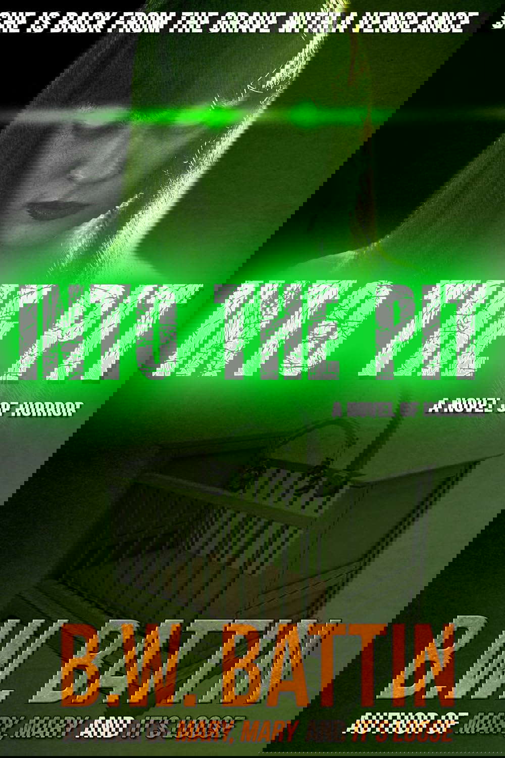 Into the Pit poster