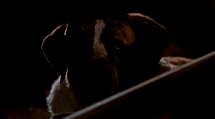 episode poster