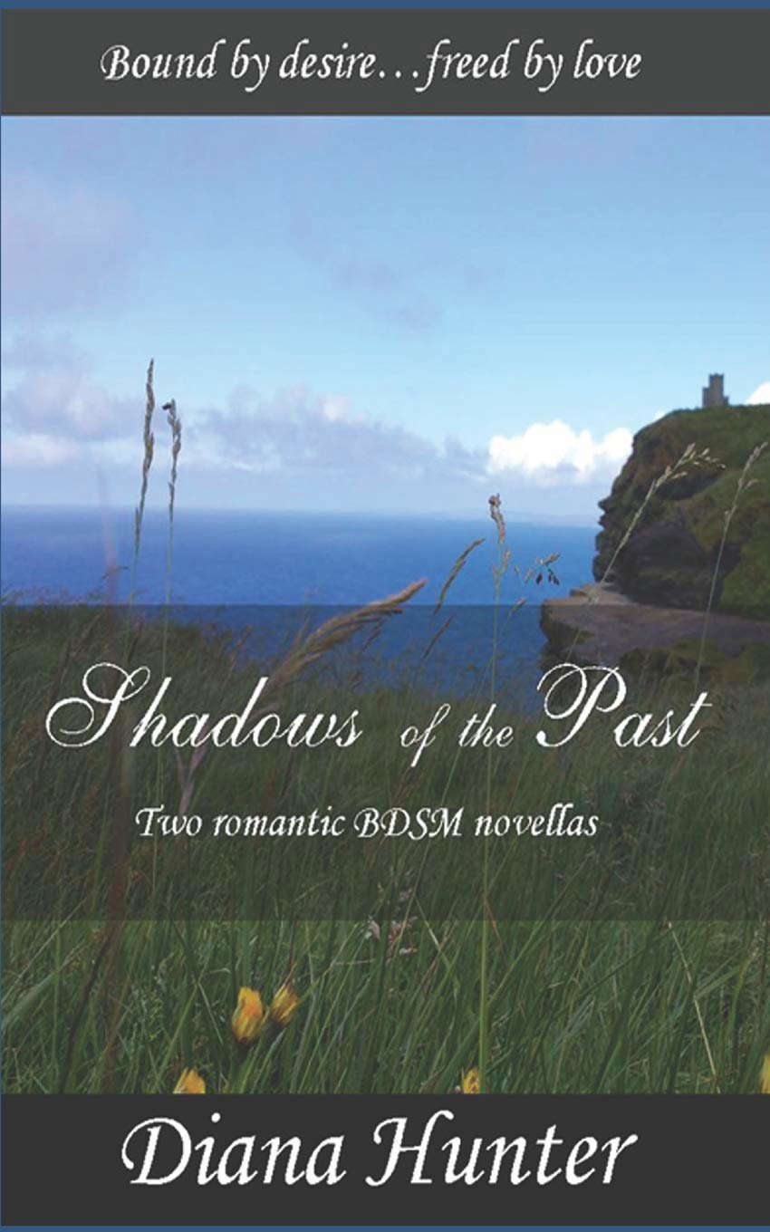 Shadows of the Past poster