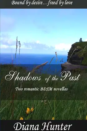 Shadows of the Past poster