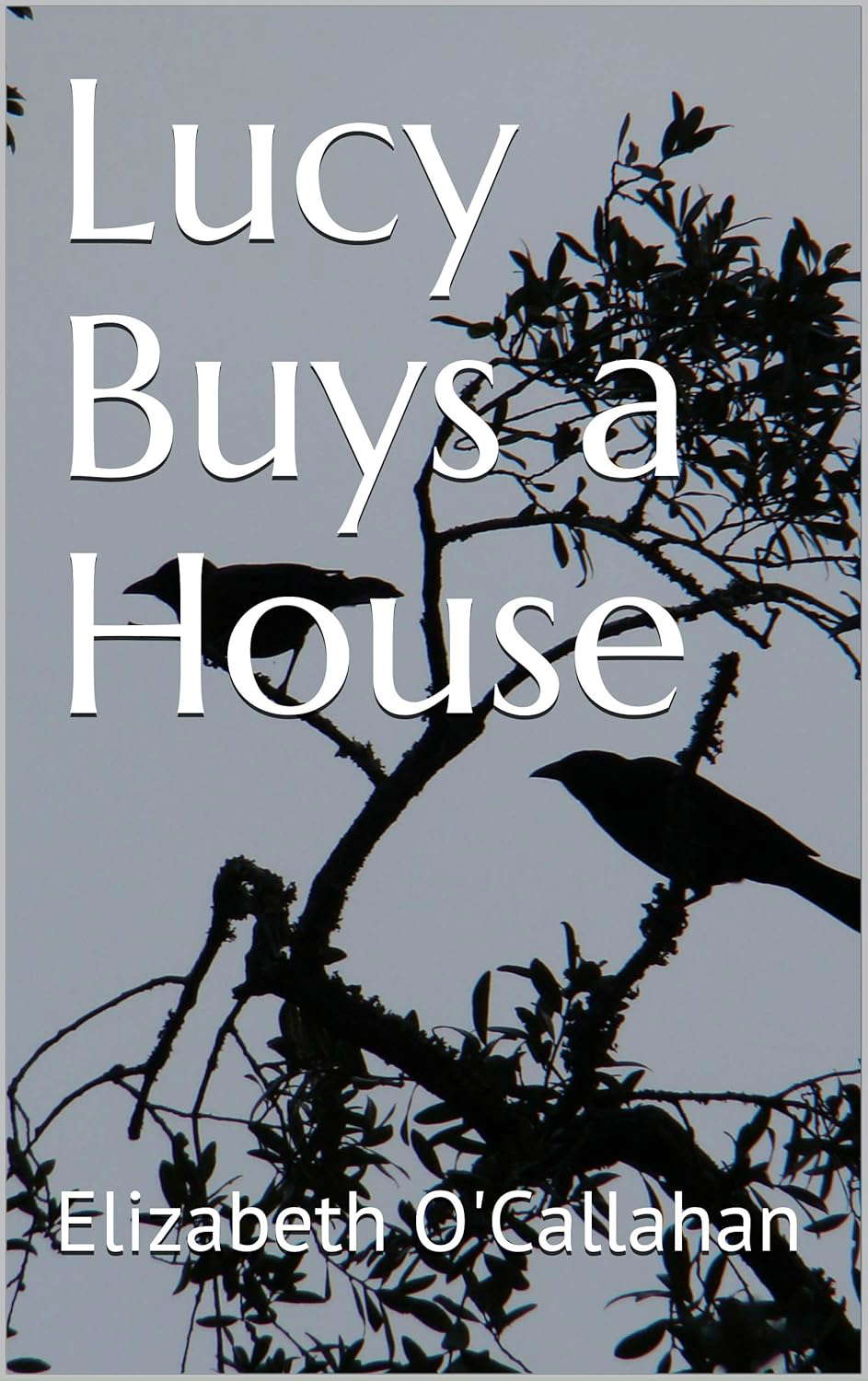 Lucy Buys a House poster