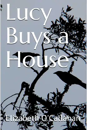 Lucy Buys a House poster