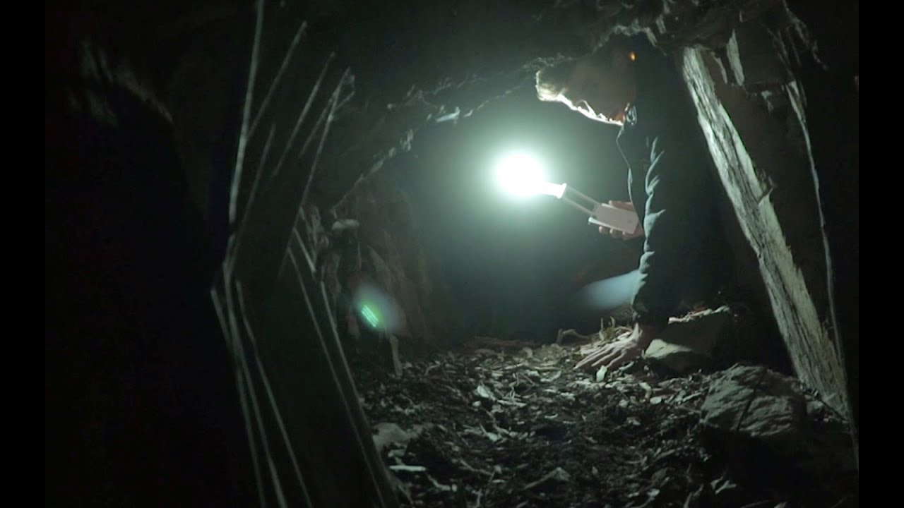 Shelter (A Short Horror Film)