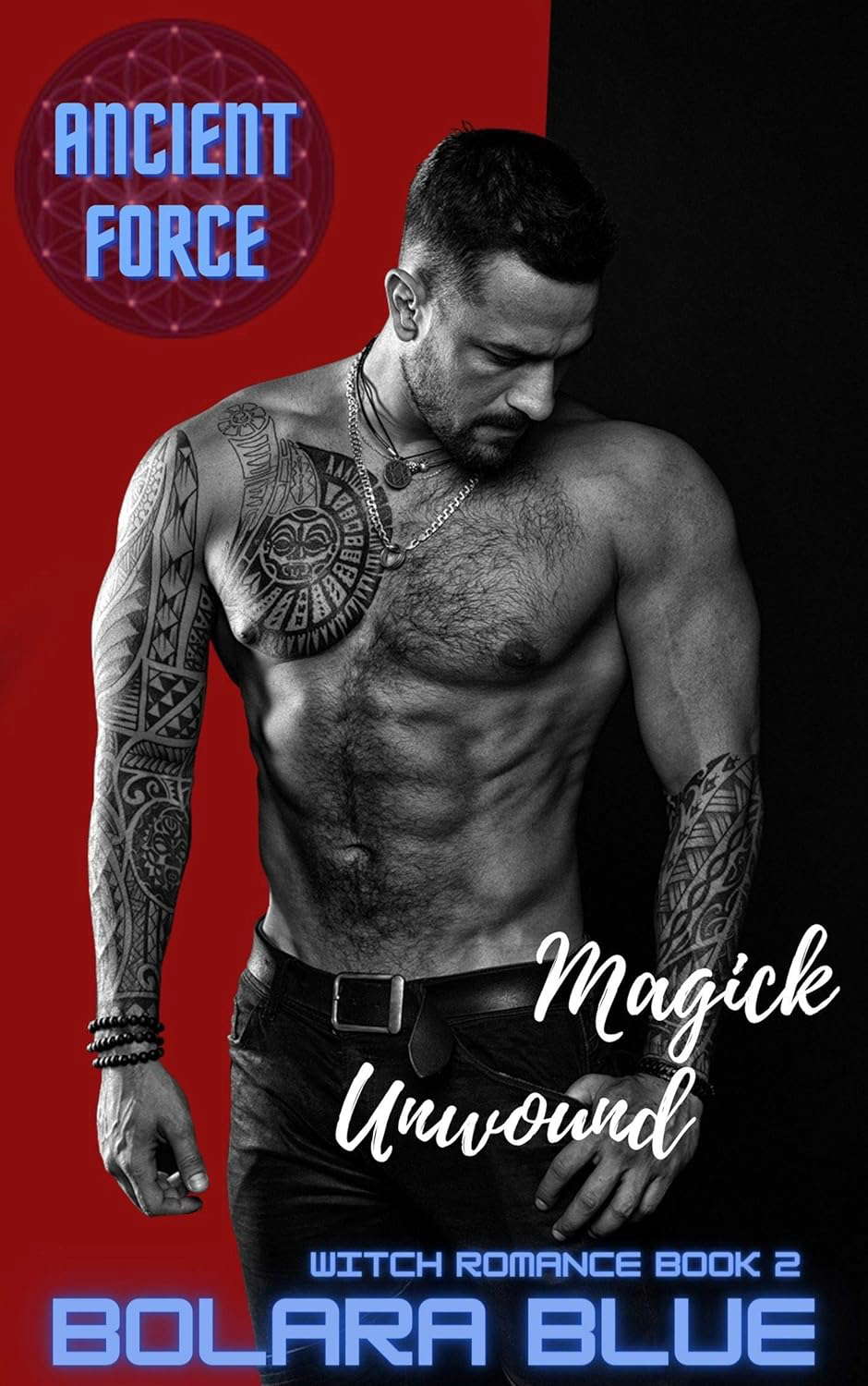 Magick Unwound - Book 2: Magickal Romance: Ancient Force poster