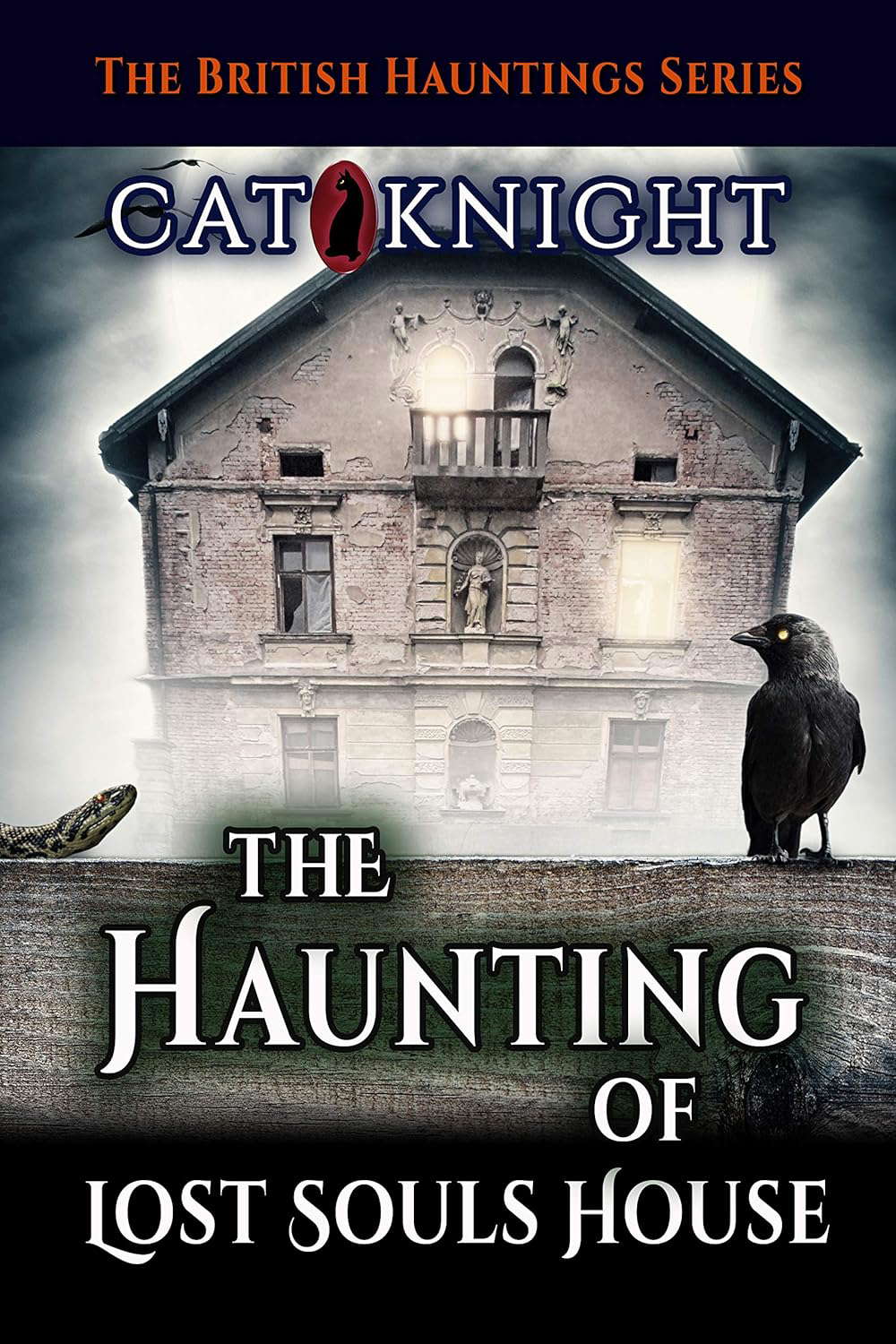 The Haunting of Lost Souls House (Hauntings of) poster