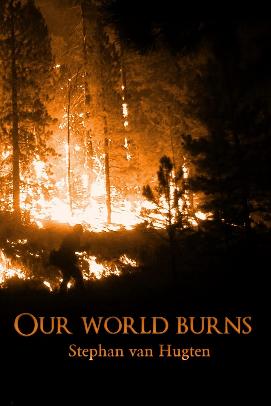 Our world burns poster