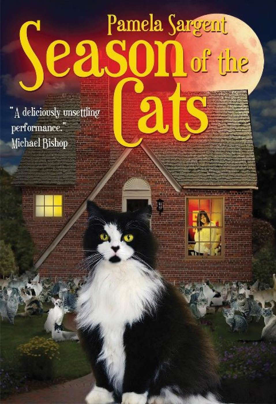 Season of the Cats poster